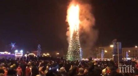 смениха изгорялата новогодишна елха центъра новосахалинск нова