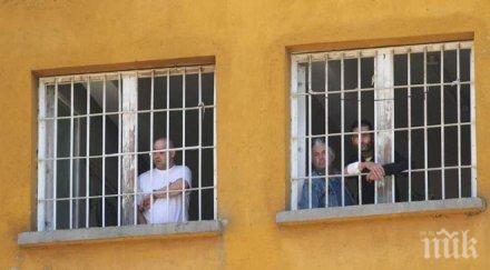 помилване 500 затворници пуснати свобода