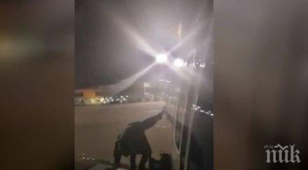 нестандартно изнервен поляк излезе самолет аварийния изход