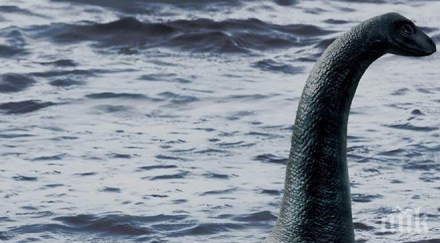 сензация чудовището лох нес изплува албания вижте засне камерата езерото преспа видео