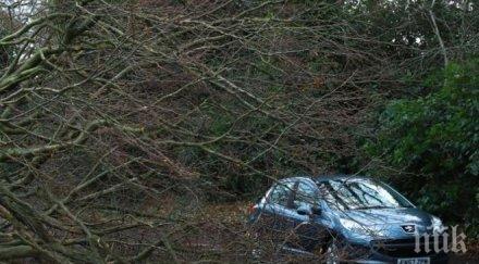 бурята елинор връхлетя великобритания пориви 160