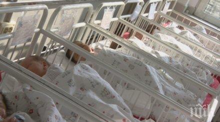 3910 бебета родили майчин дом 2017