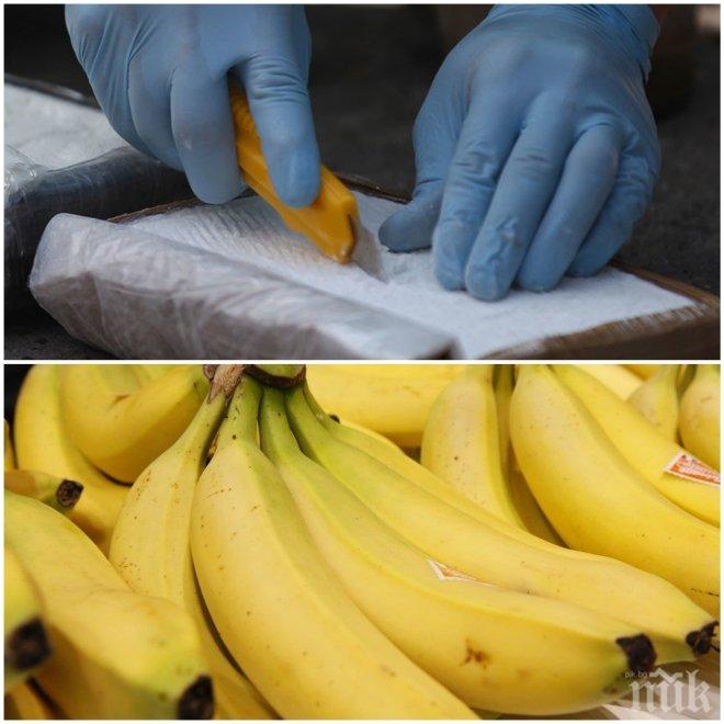 ОГРОМЕН УДАР! Белгийците спипаха 7 тона кокаин, скрит в банани 