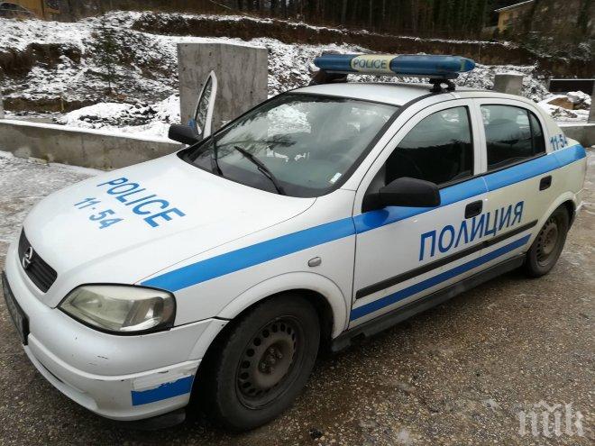 ВНИМАНИЕ! Тапа на Владая! Пет коли са се насмели