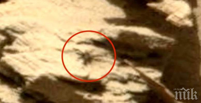 МИСТЕРИЯ! Откриха огромен паяк на Марс (ВИДЕО)