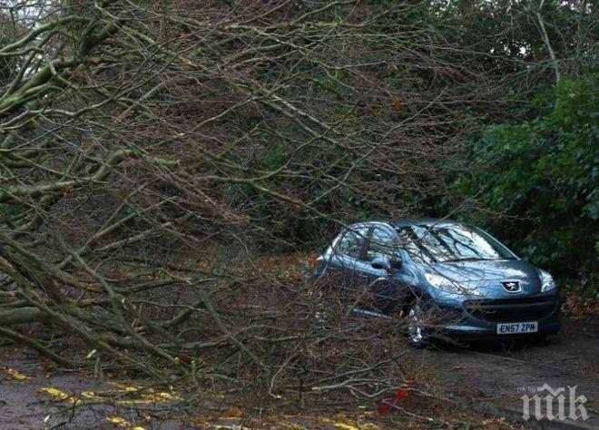 Бурята „Елинор“ връхлетя Великобритания с пориви от 160 км/ч