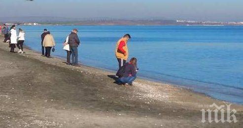 В Бургас е като през юни: Стотици излязоха на плажа (СНИМКИ)