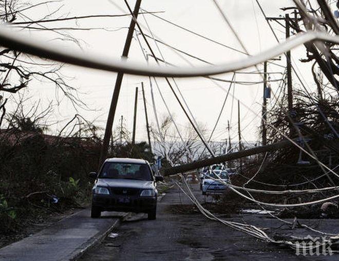 Броят на пострадалите от урагана „Елинор“ във Франция достигна 26 души