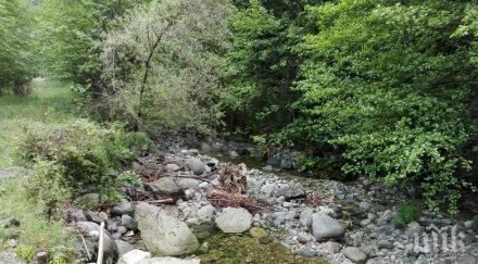 прокуратурата тръгна щателна проверка вец овете ботевград