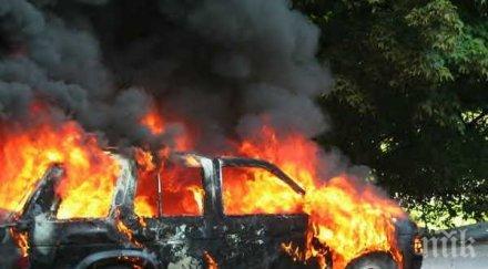 вендета запалиха колите горски стражари исперих