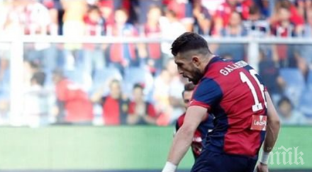 гълъбинов блести калчото