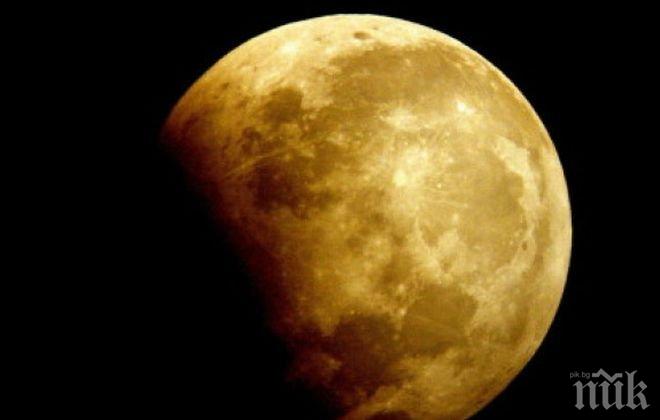 Технологичен прогрес! Китай създава мини екосистема на Луната до края на годината