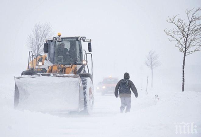 БЕДСТВИЕ! Хиляди домакинства са останали без електрозахранване в Естония заради силна буря