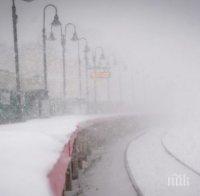 Снежна буря блокира 600 души във влак в Япония