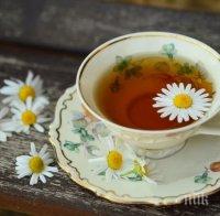 Властите в Северна Корея за COVID-19: Пийте чай срещу треската