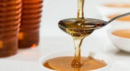 природно чудо медът манука струва 400 долара