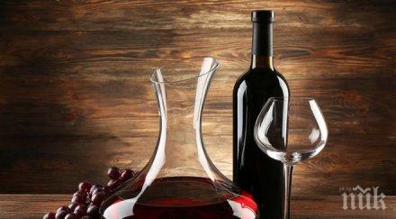 майстори състезават добро домашно вино карлово