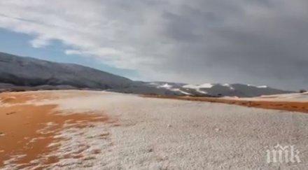 части пустинята сахара побеляха сняг втора поредна година