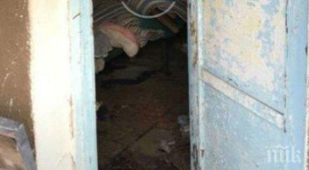 горещи кадри къщата пръснал мозъка росен ангелов шесторният убиец искър снимки