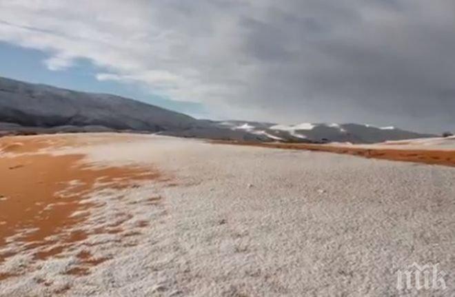 Части от пустинята Сахара побеляха от сняг за втора поредна година