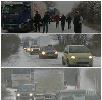 АЛО, АПИ! 2 см сняг и тотален блокаж на пътя Плевен - Русе! Кой ще почисти трасето?! 