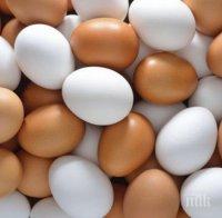 ЧУДО! Яйцата церят шипове за 3 дни