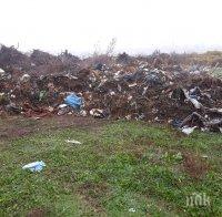 СИГНАЛ ДО ПИК! Жители алармират за незаконно сметище край Сунгурларе (СНИМКИ)