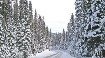 зимата върна пълна сила апи апел шофьорите гуми чистачки