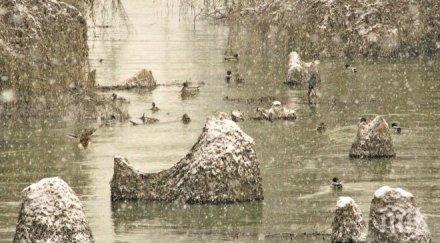 вижте магията снежния дунав снимки