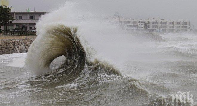 ТРЕВОГА: Риск от цунами в Нова Зеландия, властите с призив към хората