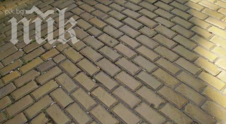 вижте ограничават движението жълтите павета изборите