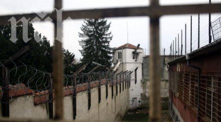 висока изборна активност обзе затворите