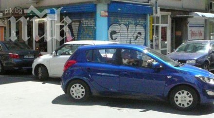 костов тръгна кърниградска без охрана снимки