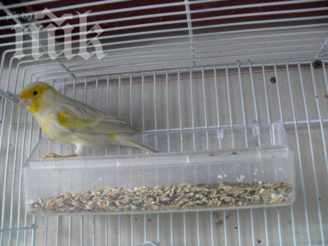 Борисов оставя канарче за наследство на следващия премиер