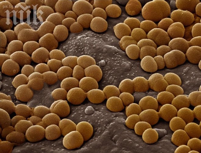 Миниатюрни сфери шпионират Земята