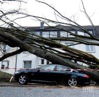 АПОКАЛИПСИС! Бурята в Германия причини щети за половин милиард евро