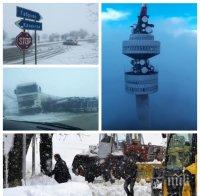 ИЗВЪНРЕДНО! България в снежен ступор! Ураганът клати кулата 
