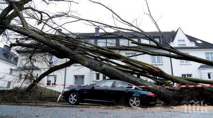 апокалипсис бурята германия причини щети половин милиард евро