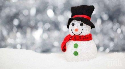 отбелязваме световния ден снежния човек