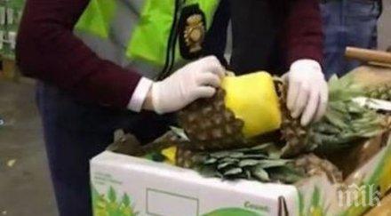 голям удар спипаха 745 килограма кокаин скрит ананаси