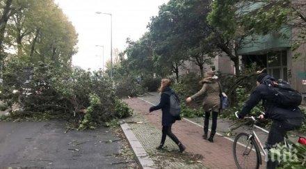 ужас броят загиналите заради силните ветрове европа увеличи девет души