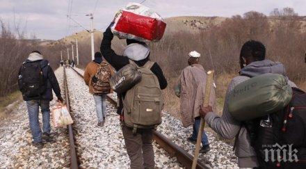 задържаха афганистански мигранти български камион унгария