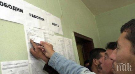 дават препитание 000 безработни