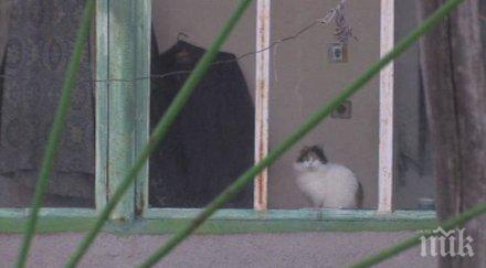 шокиращи подробности къщата ужасите свищов жените били психични проблеми