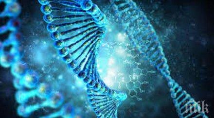 учени възстановиха генома починал 1827 година човек