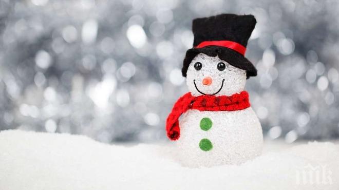 Отбелязваме Световния ден на снежния човек