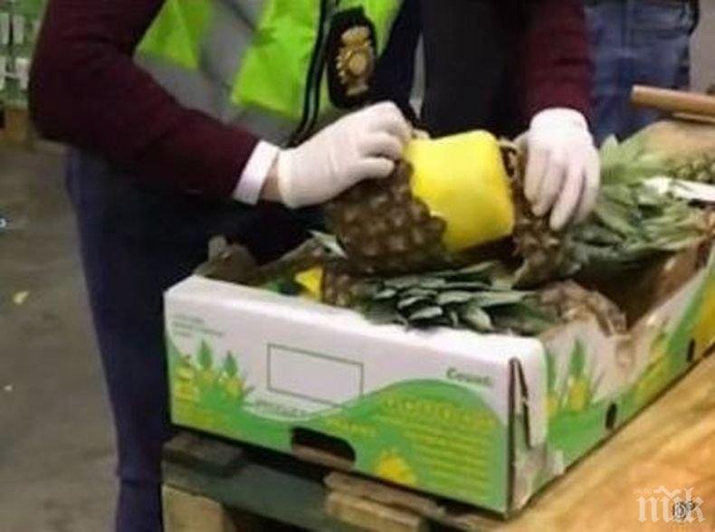 ГОЛЯМ УДАР! Спипаха 745 килограма кокаин, скрит в ананаси