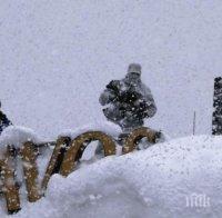 Невиждан сняг затрупа икономическия форум в Давос