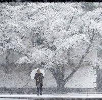 Над 250 души са пострадали заради падналия сняг в Япония