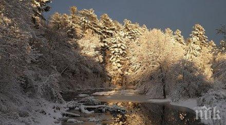 слънчево студено температурите достигнат градуса